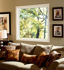 amerimax replacement windows - denver, co